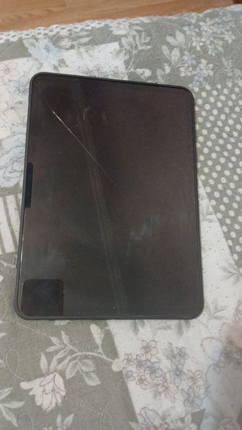 İşlənmiş Apple iPad Pro 11 (2024), 11", 256 GB, Ünvandan götürmə — Bakı