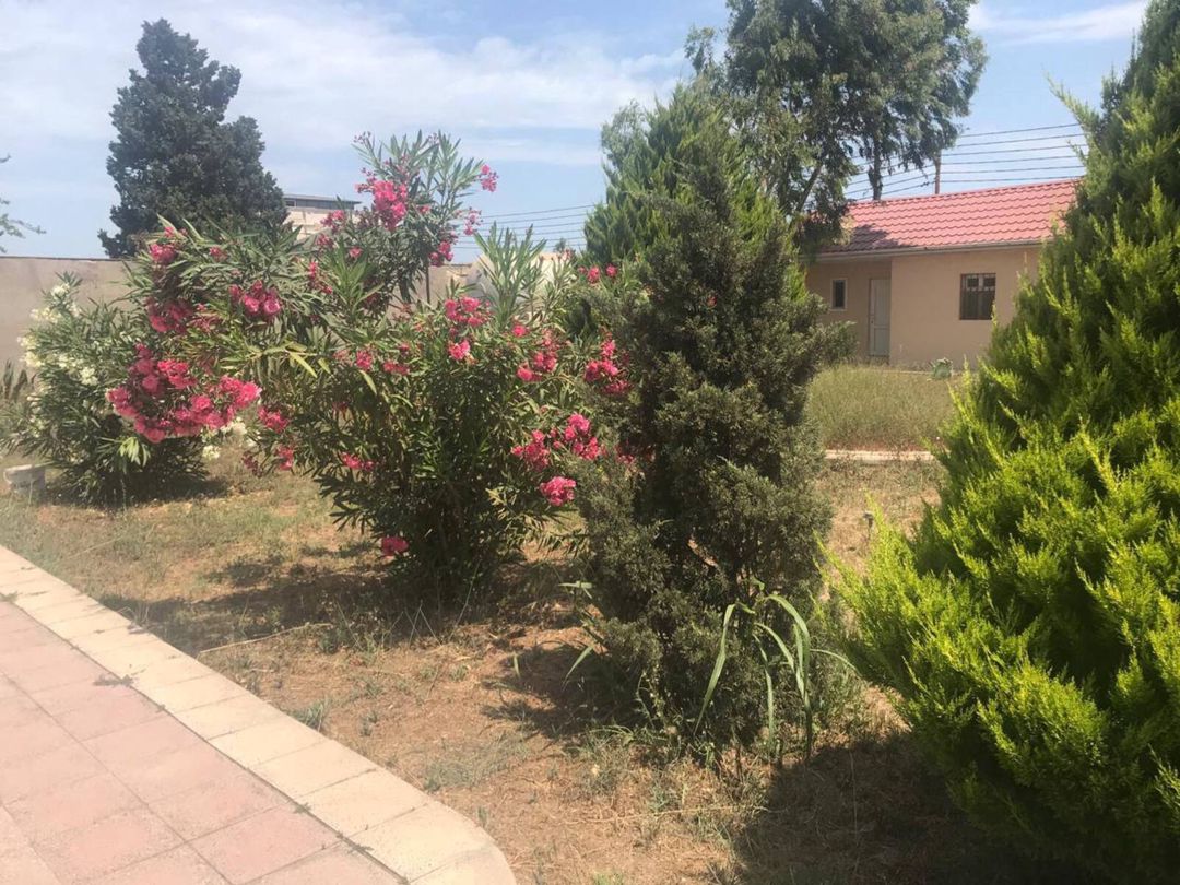 Satılır 6 otaqlı həyət evi/bağ evi 250 m² — Ev, villa, Bakı (12)