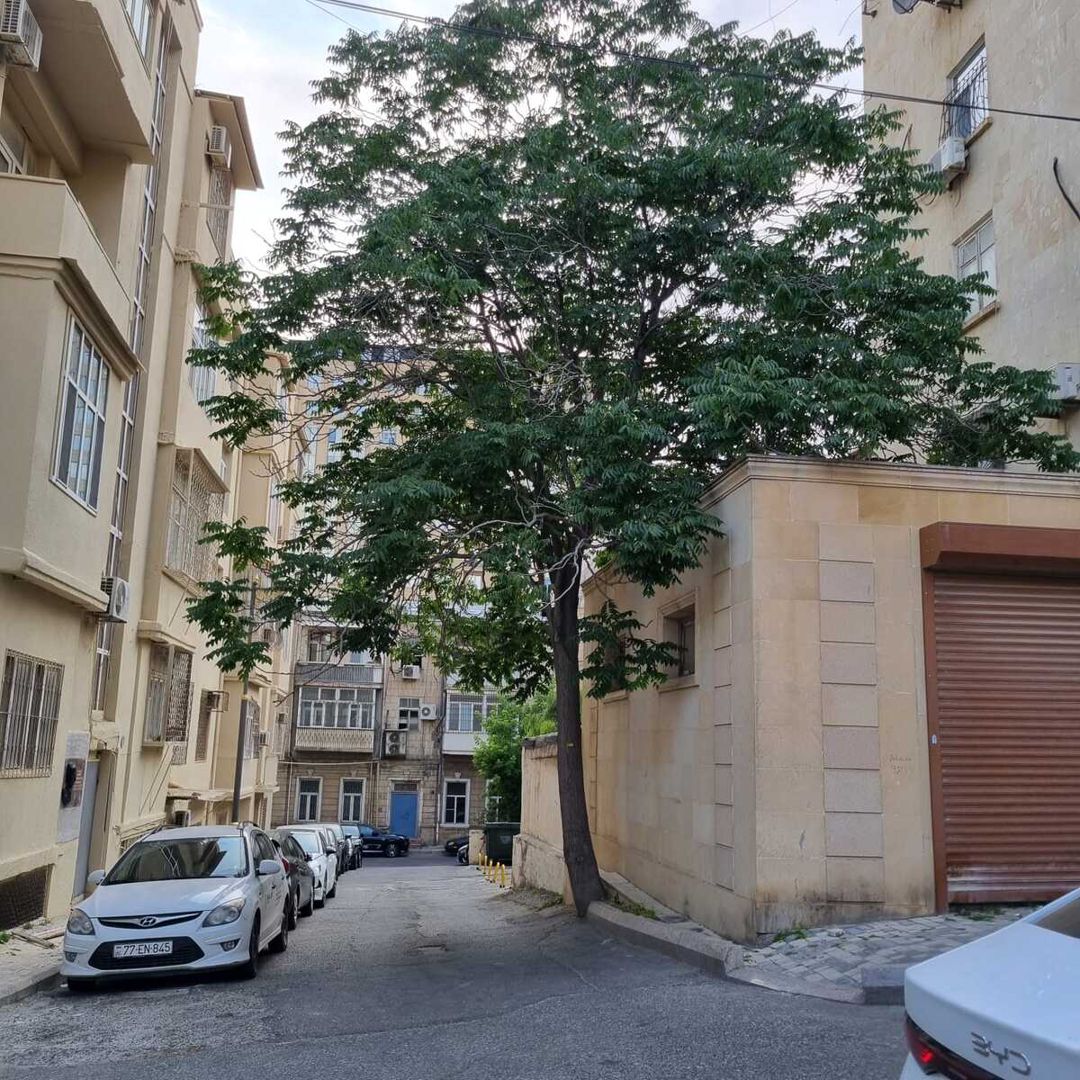 Satılır 1 otaqlı köhnə tikili 32 m² — Mənzil, Bakı (9)