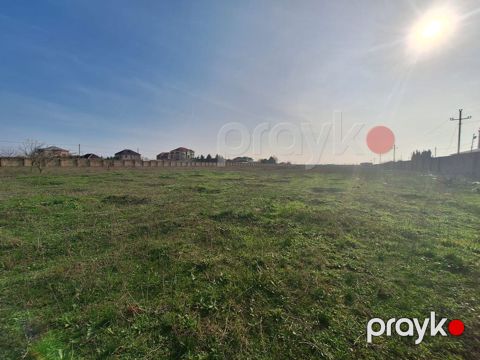 200 sot, Tikinti, Mülkiyyətçi, Kupça (Çıxarış)