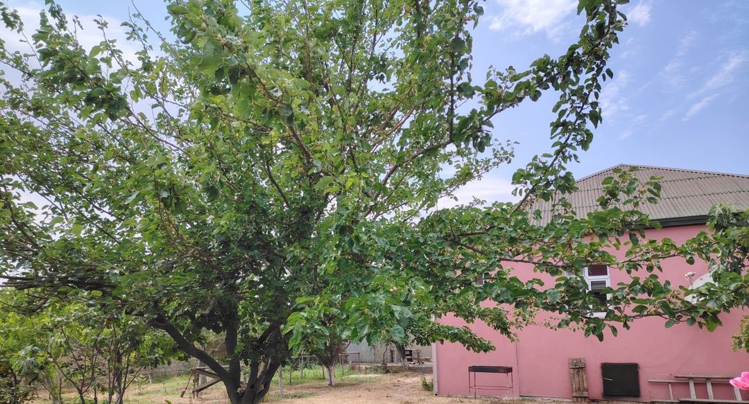 Satılır 4 otaqlı həyət evi/bağ evi 180 m² — Ev, villa, Bakı (12)