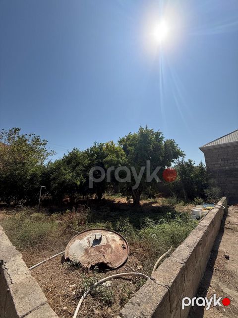 Satılır torpaq 265 sot