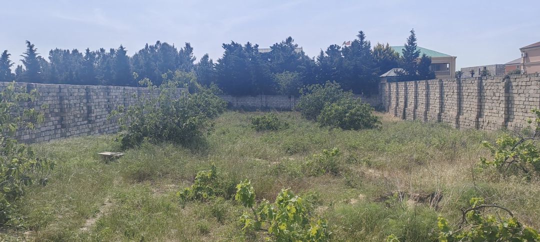 Satılır torpaq 24 sot — Torpaq, Bakı (3)