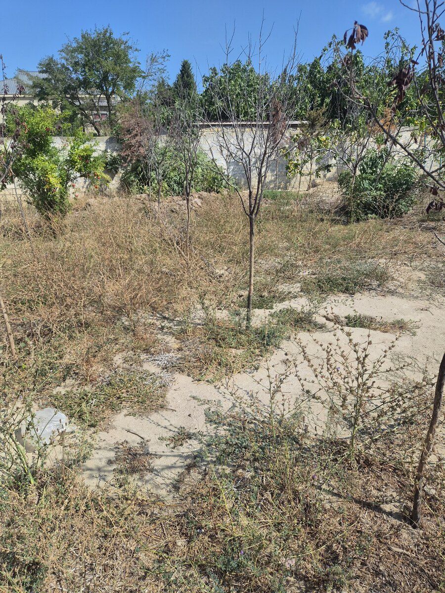 3 sot torpaq sahəsi, Görədil qəs — Torpaq, Bakı (6)