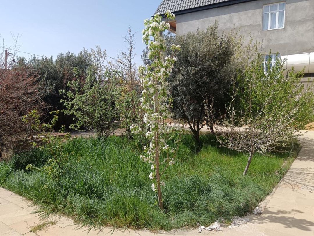 Satılır 8 otaqlı həyət evi/bağ evi 280 m² — Ev, villa, Bakı (4)