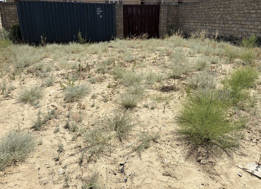 Satılır torpaq 4 sot — Torpaq, Bakı (3)