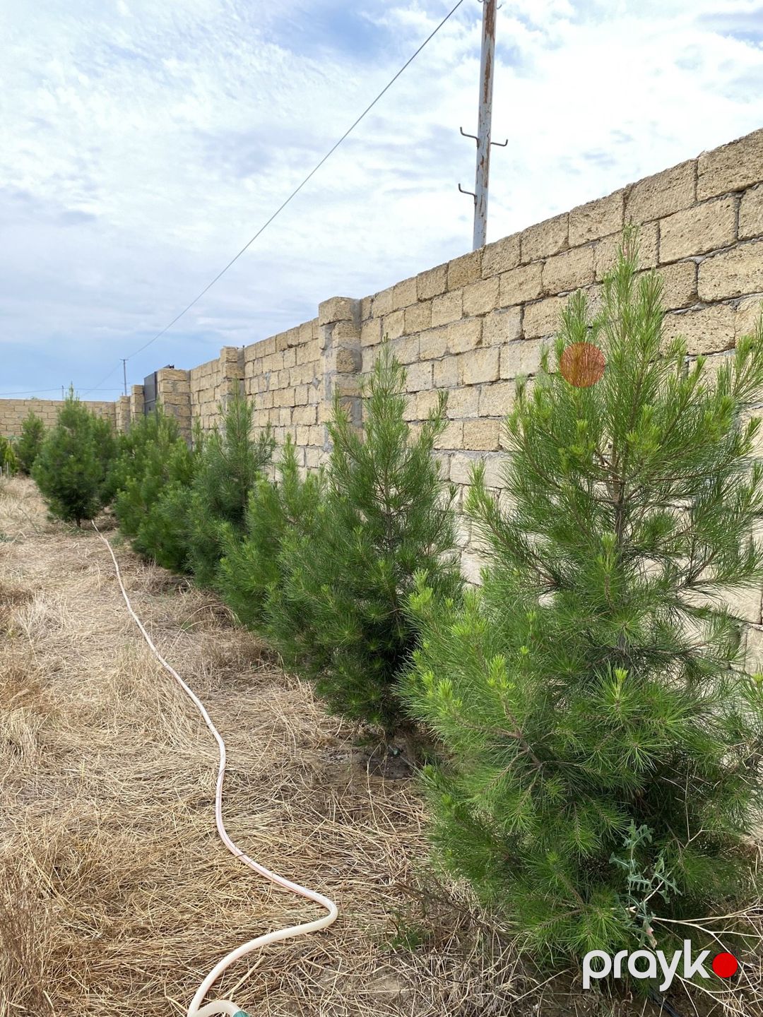 Satılır torpaq 12 sot — Torpaq, Bakı (3)