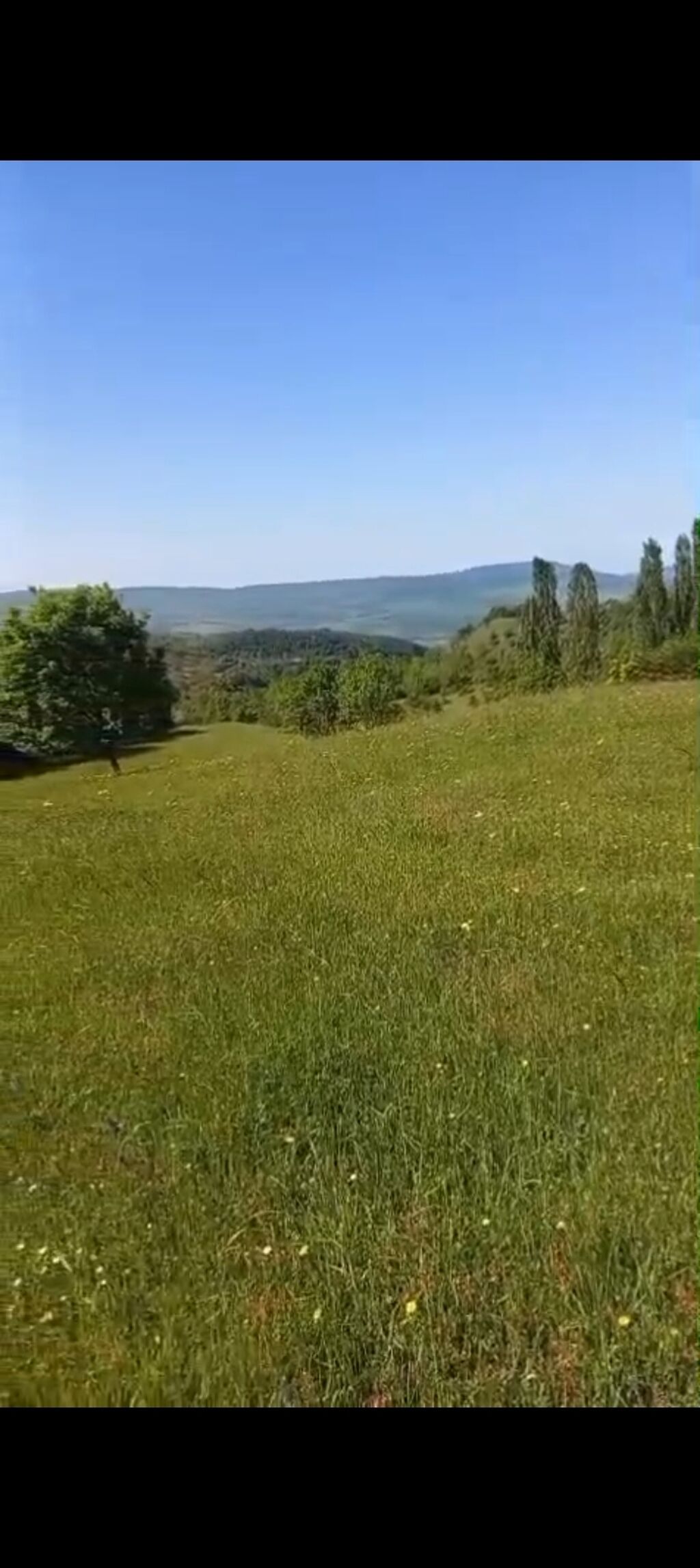 Kənd təsərrüfatı — Torpaq, İsmayıllı (4)