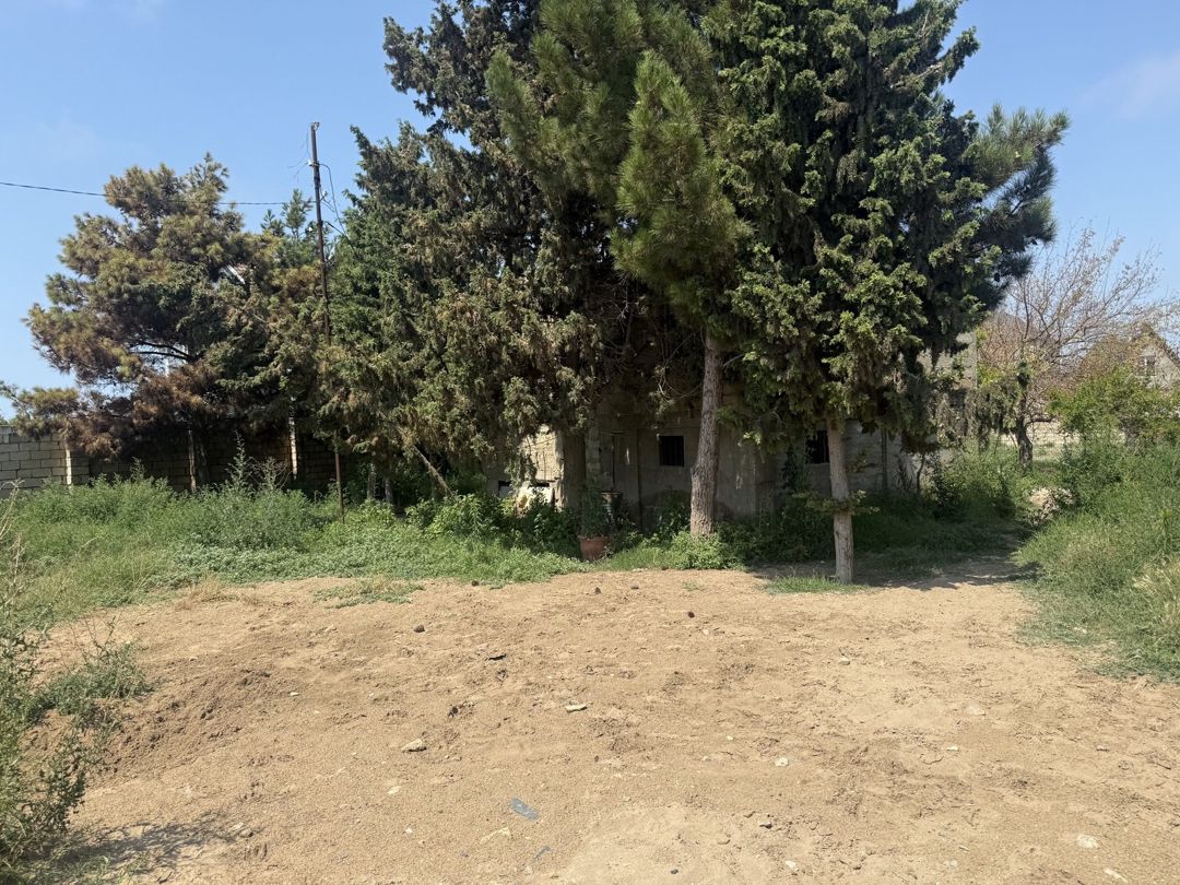 Satılır torpaq 14 sot — Torpaq, Bakı (3)
