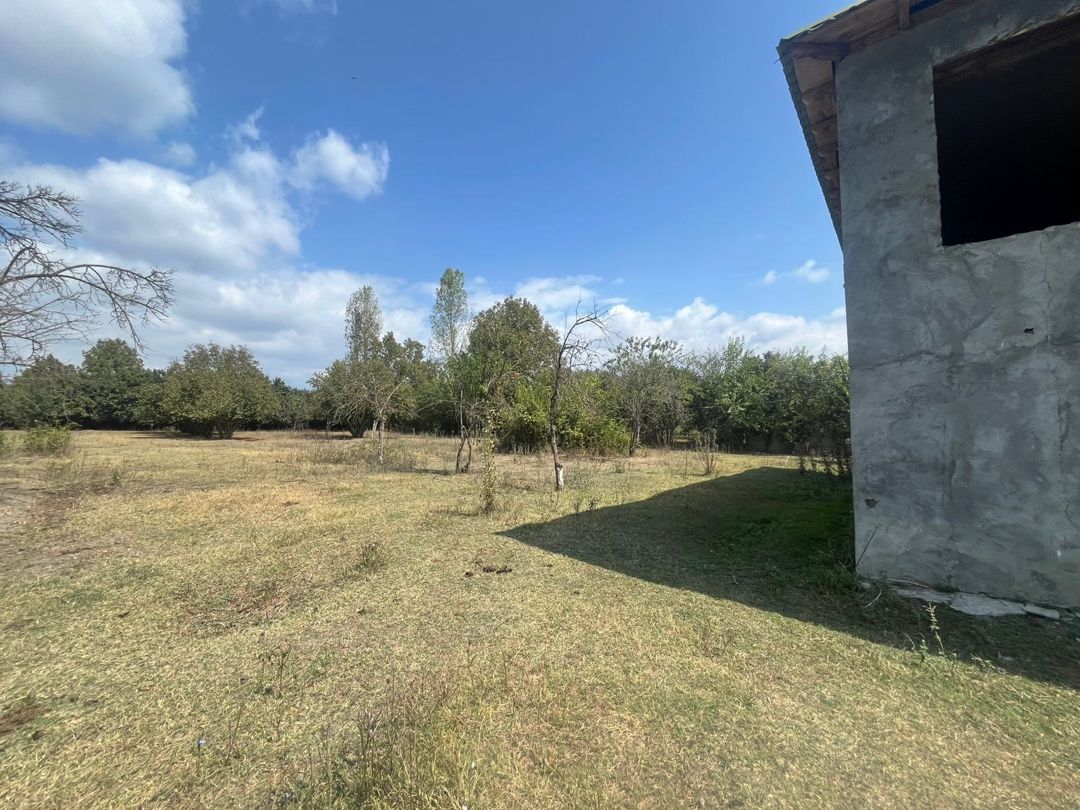 64 sot torpaq sahəsi, Qəbələ r — Torpaq, Bakı (4)