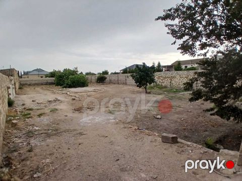 Satılır torpaq 12 sot
