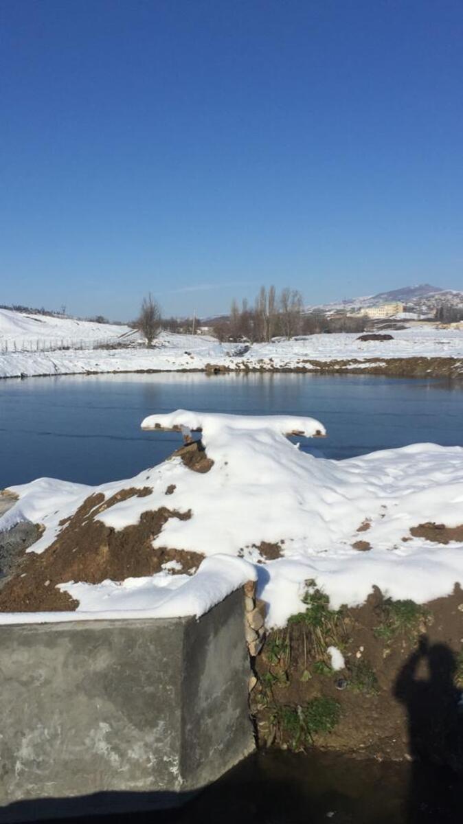 Satılır torpaq 320 sot — Torpaq, Şamaxı (5)