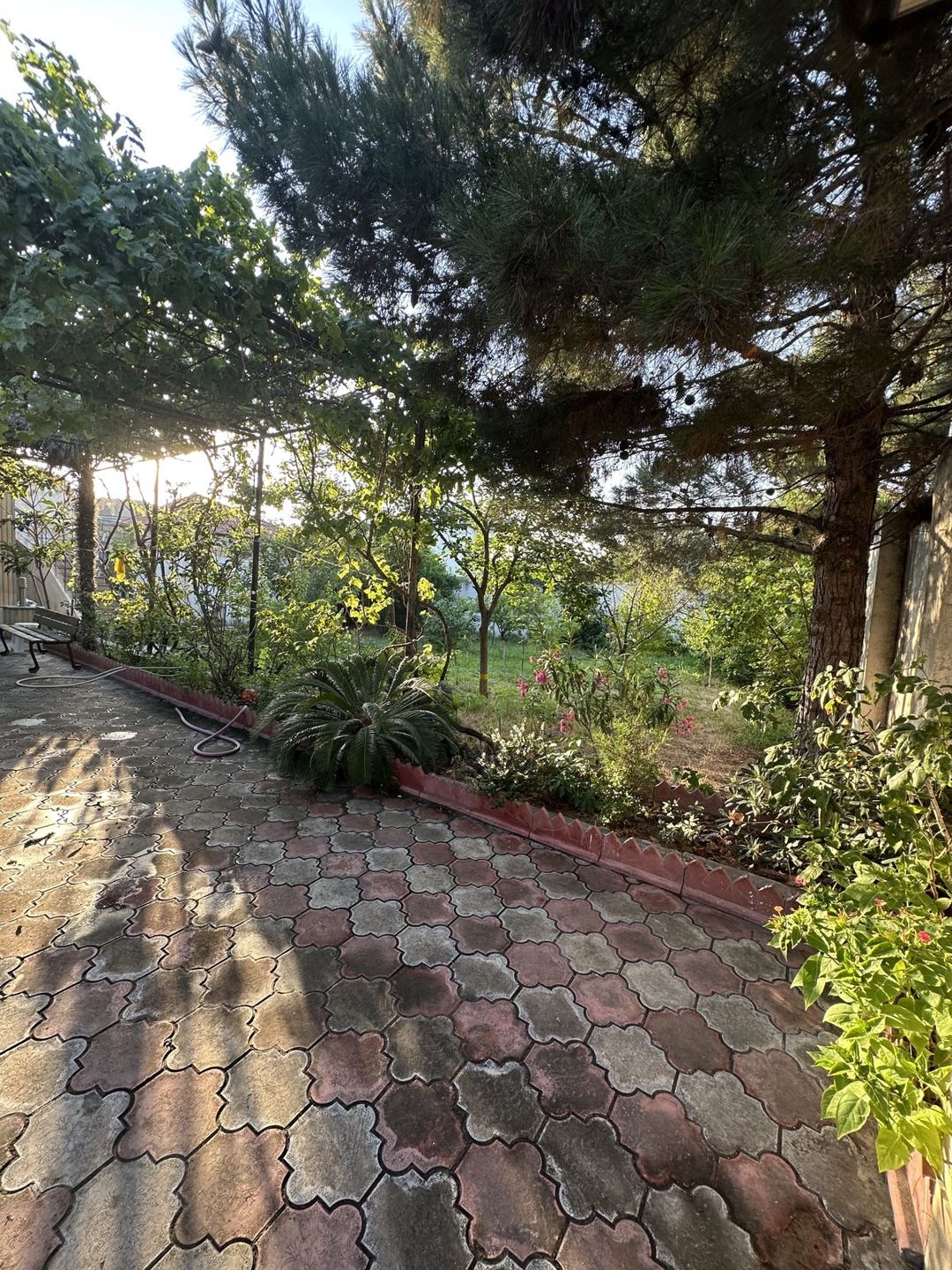 Satılır 2 otaqlı həyət evi/bağ evi 37 m² — Ev, villa, Bakı (6)