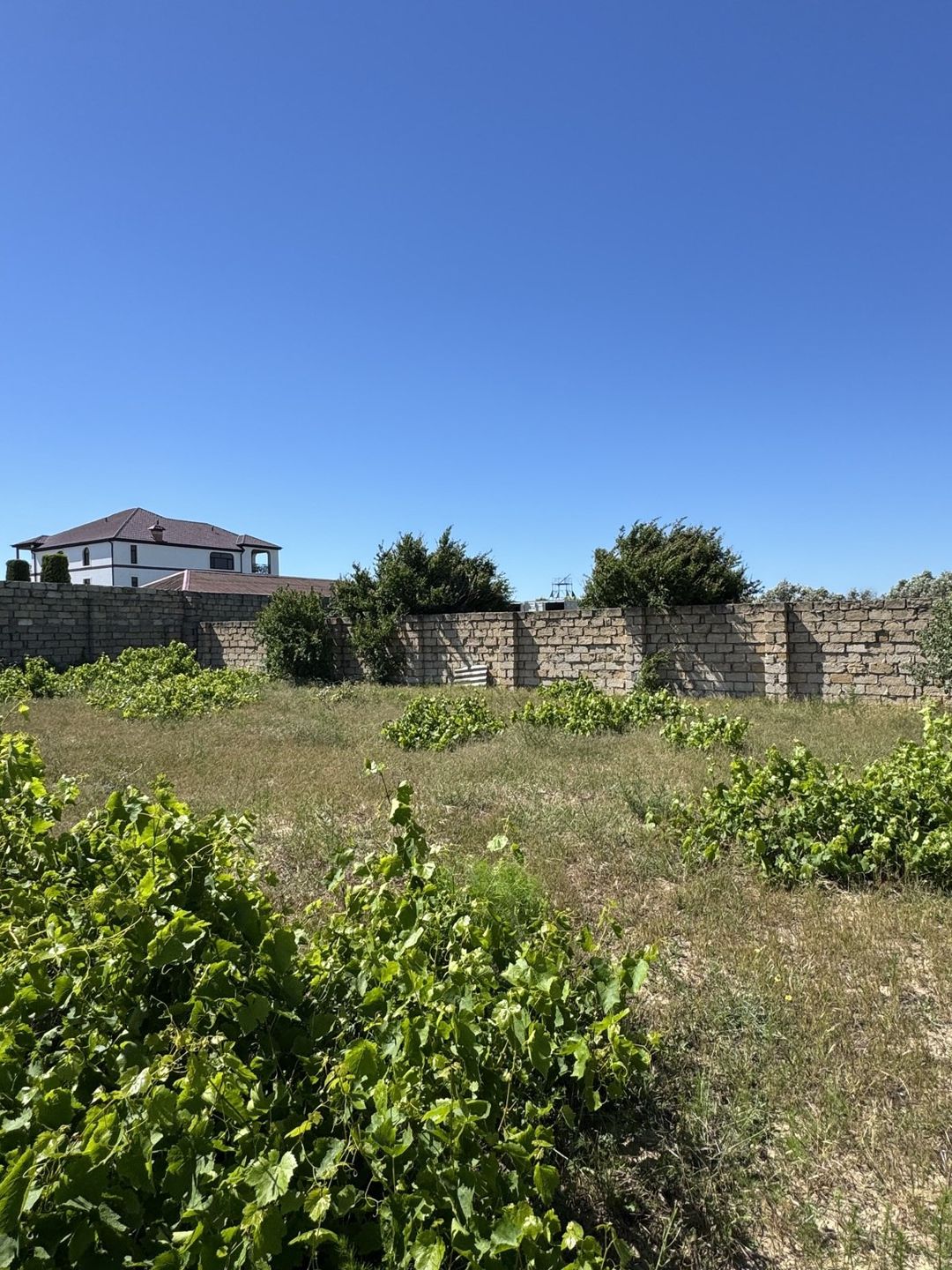 Satılır torpaq 4 sot — Torpaq, Bakı (6)