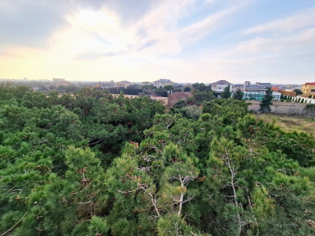 Satılır 9 otaqlı həyət evi/bağ evi 810 m² — Ev, villa, Bakı (2)