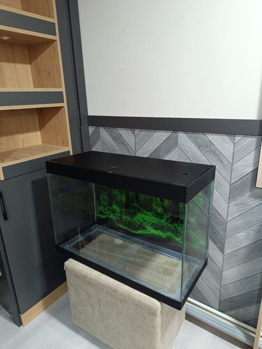 Akvarium — Akvariumlar və balıqlar, Bakı (10)
