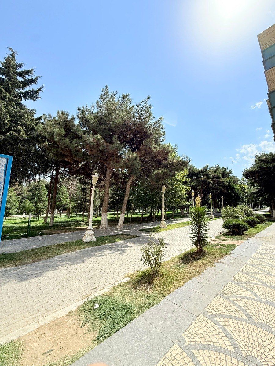 Satılır 2 otaqlı yeni tikili 65 m² — Mənzil, Xırdalan (3)
