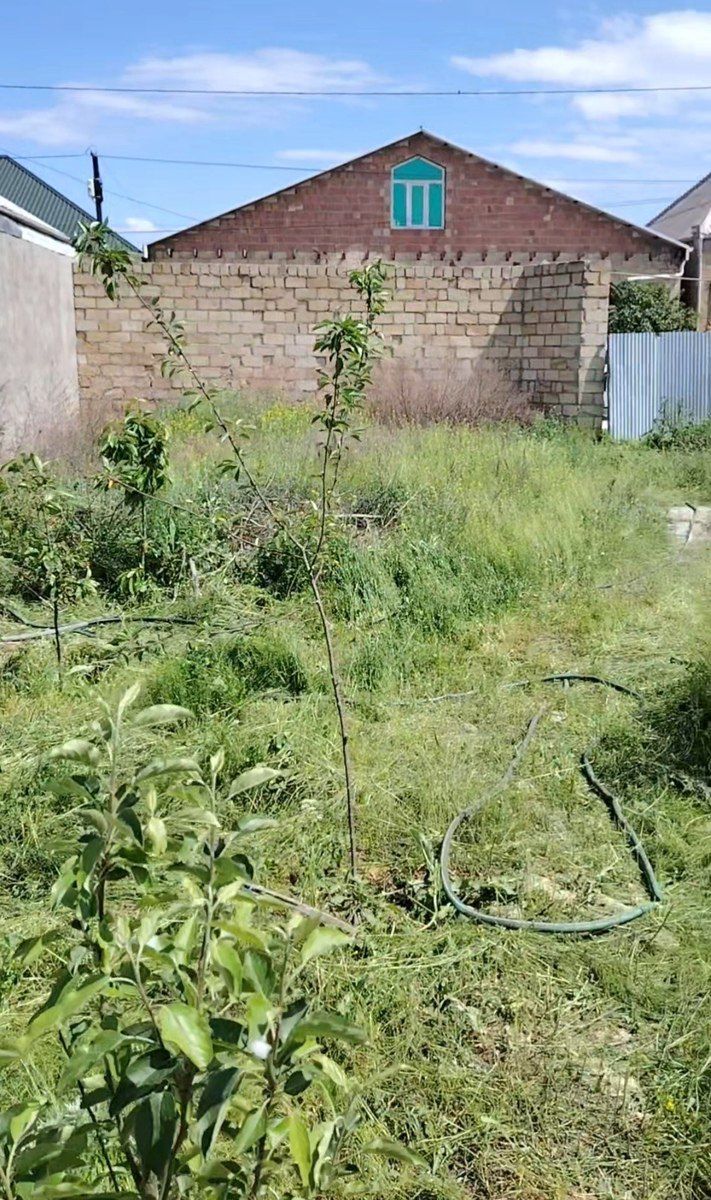 Satılır 3 otaqlı həyət evi/bağ evi 500 m² — Ev, villa, Gəncə (2)