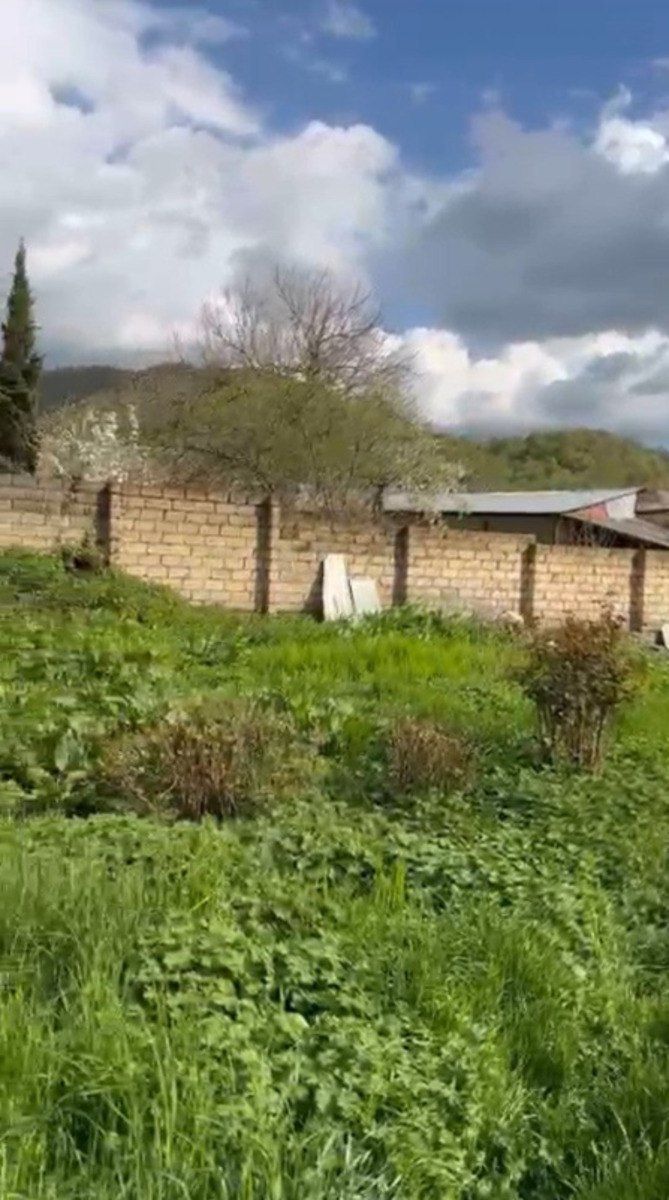 Satılır torpaq 10 sot — Torpaq, Qəbələ (4)