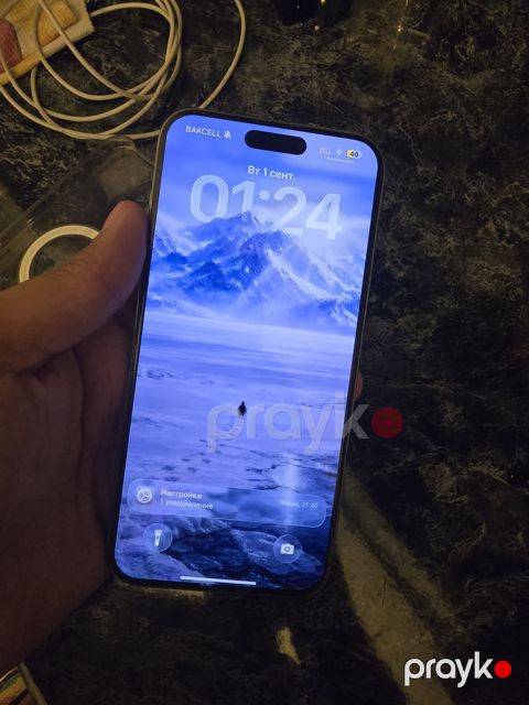Apple iPhone 15 Pro Max Natural Titanium 256GB/8GB