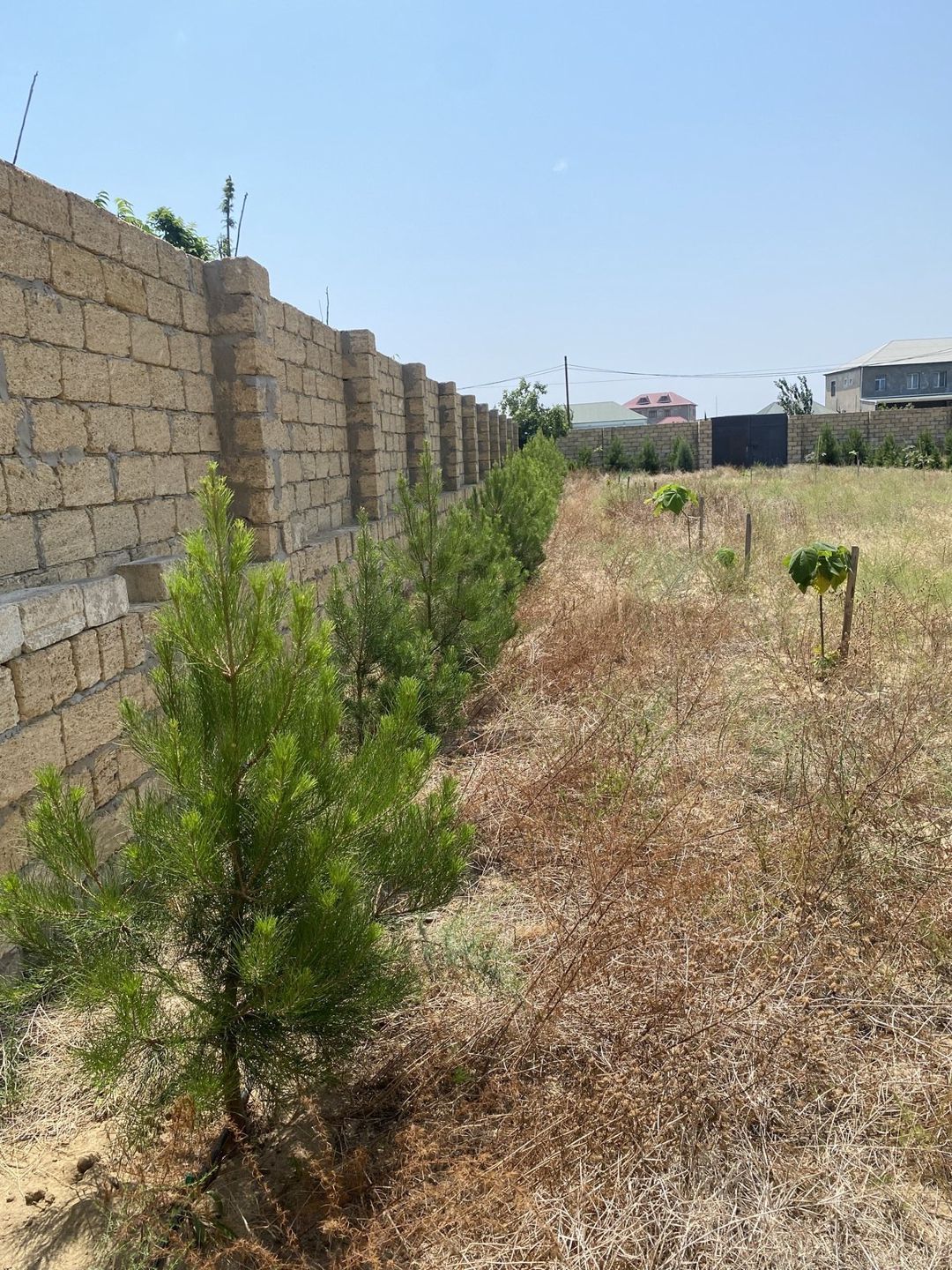 Satılır torpaq 12 sot — Torpaq, Bakı (11)