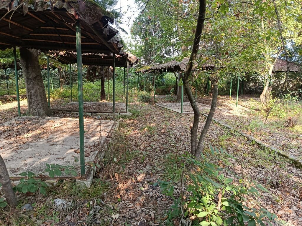 67 sot, Tikinti, Mülkiyyətçi, Kupça (Çıxarış) — Torpaq, Lənkəran (8)