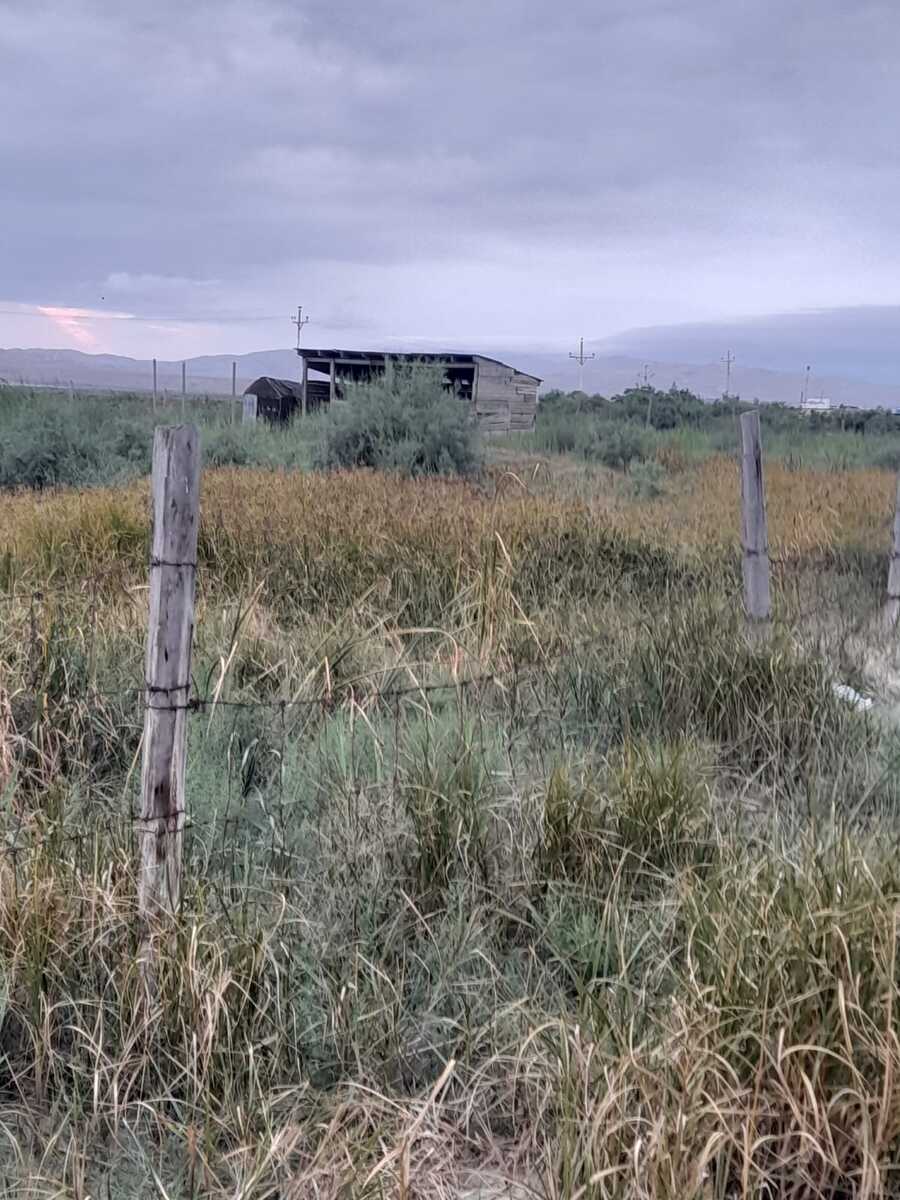 10 sot torpaq sahəsi, Sumqayıt ş — Torpaq, Sumqayıt (2)