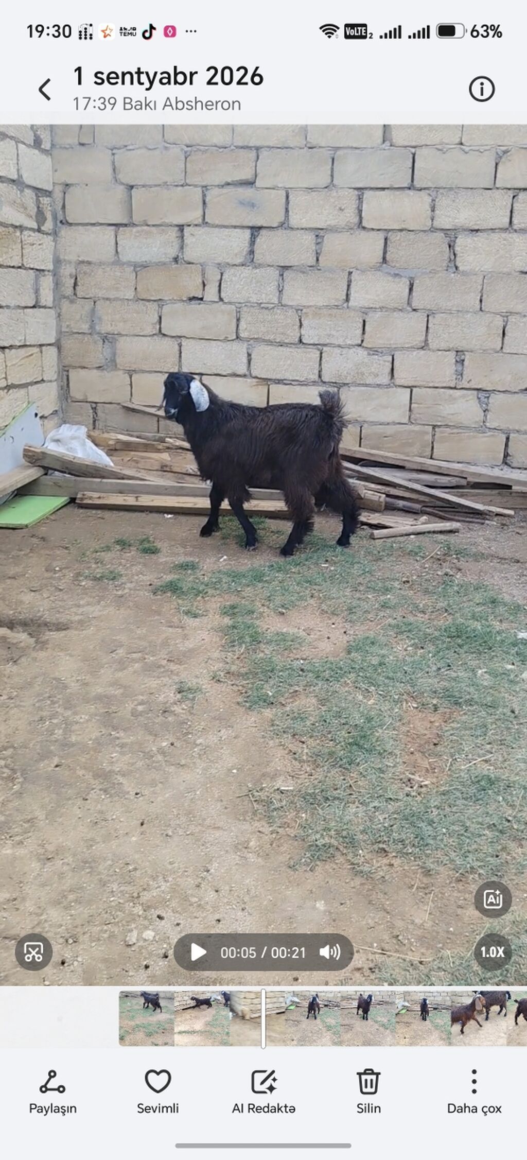Ərkəy cepiş — Heyvanlar, Xırdalan (3)