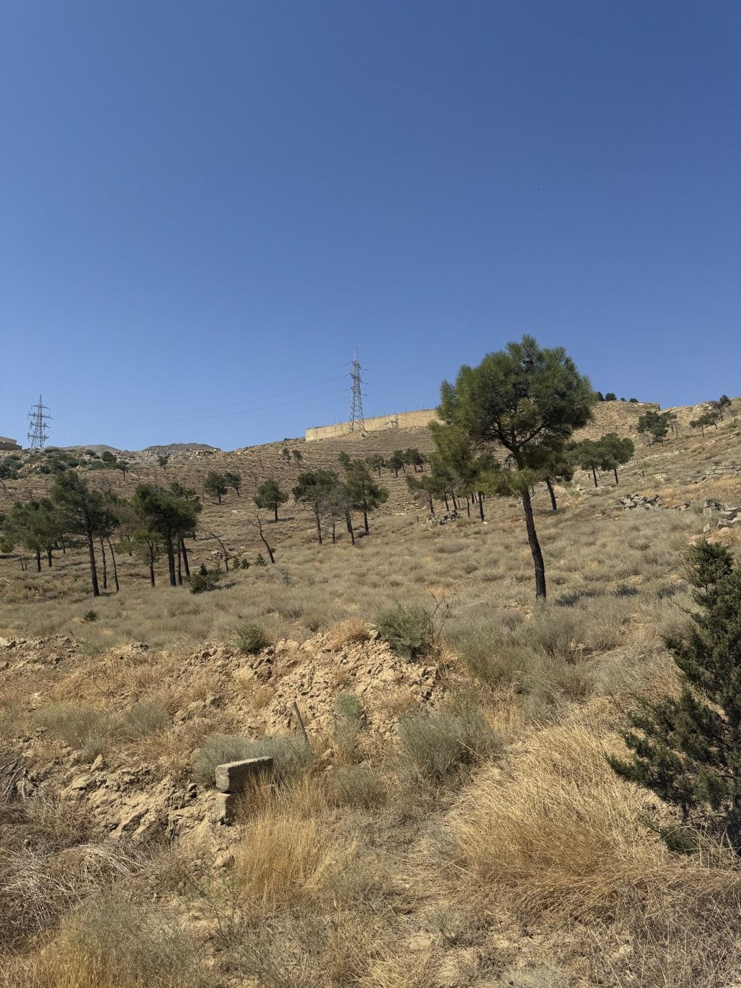Satılır torpaq 5.7 sot — Torpaq, Bakı (5)