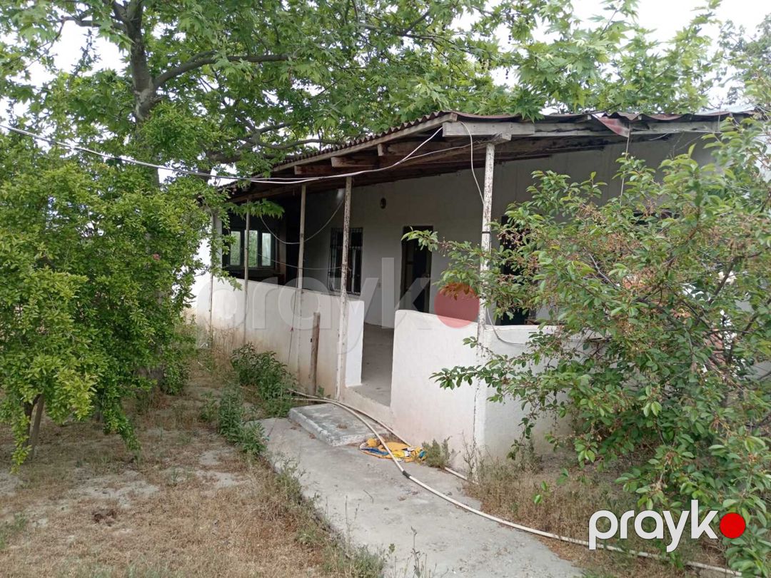 Satılır torpaq 10 sot — Torpaq, Bakı (9)