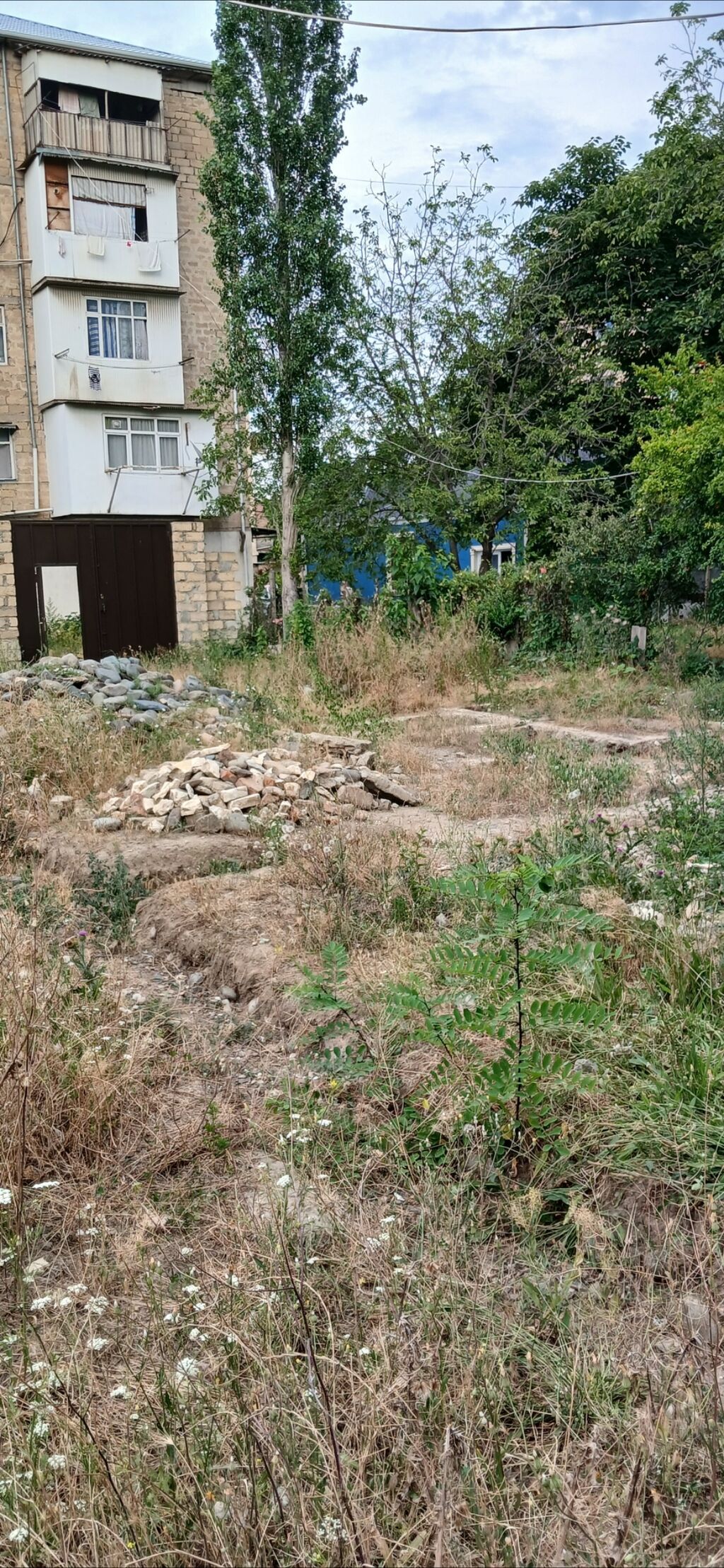 Tikinti — Torpaq, Gəncə (4)