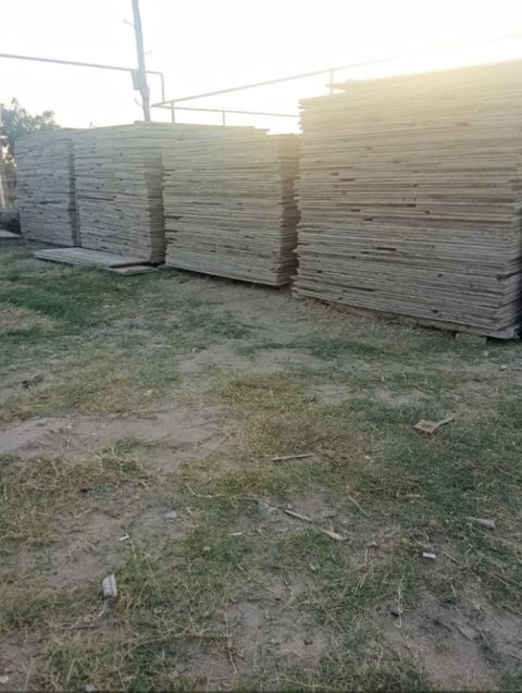 Diktlər — Bakı