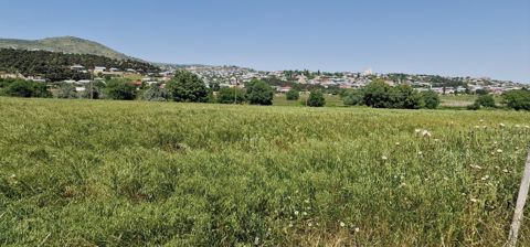 Satılır torpaq 226 sot — Şamaxı