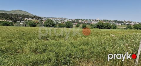Satılır torpaq 226 sot