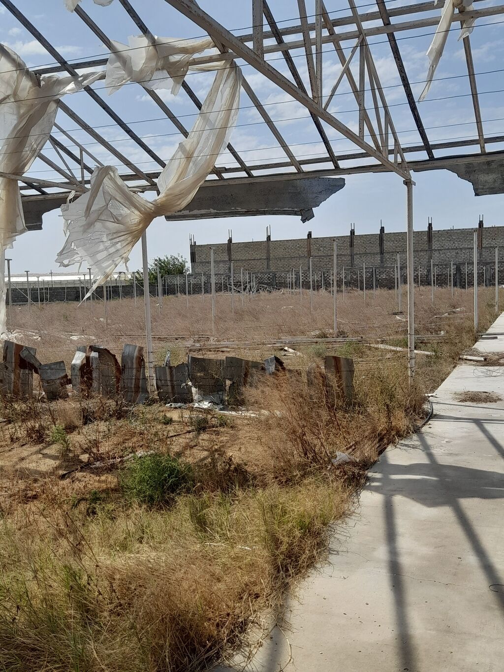 135 sot, Biznes üçün, Kupça (Çıxarış) — Torpaq, Digah (8)
