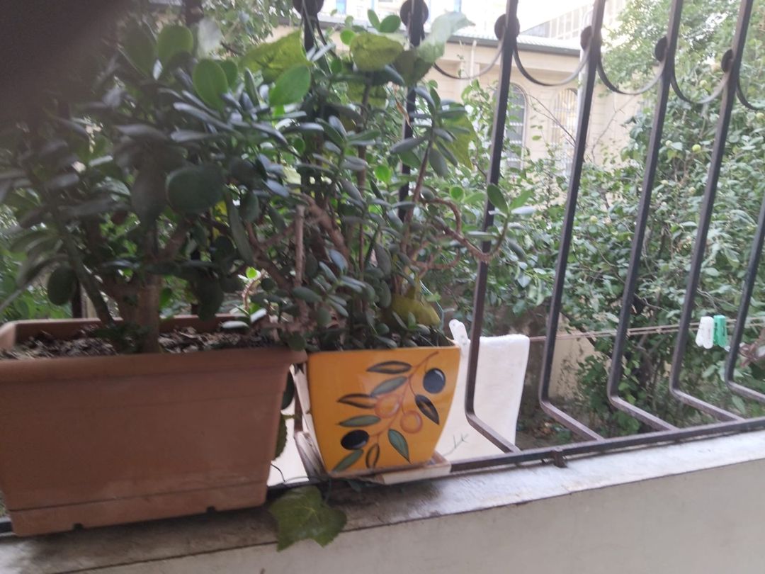Satılır 3 otaqlı yeni tikili 90 m² — Mənzil, Bakı (8)