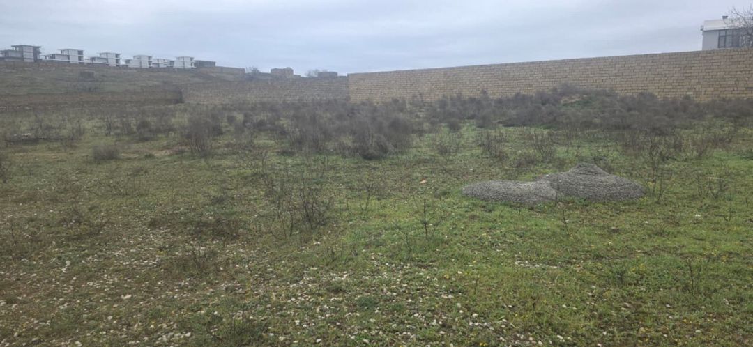Satılır torpaq 50 sot — Torpaq, Bakı (8)
