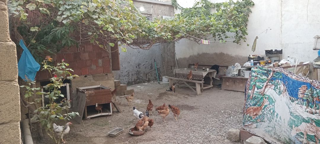Satılır 1 otaqlı həyət evi/bağ evi 32 m² — Ev, villa, Bakı (9)