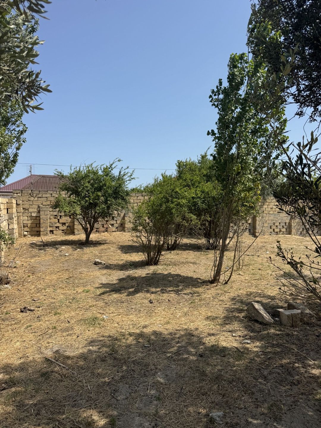Satılır torpaq 3 sot — Torpaq, Bakı (2)
