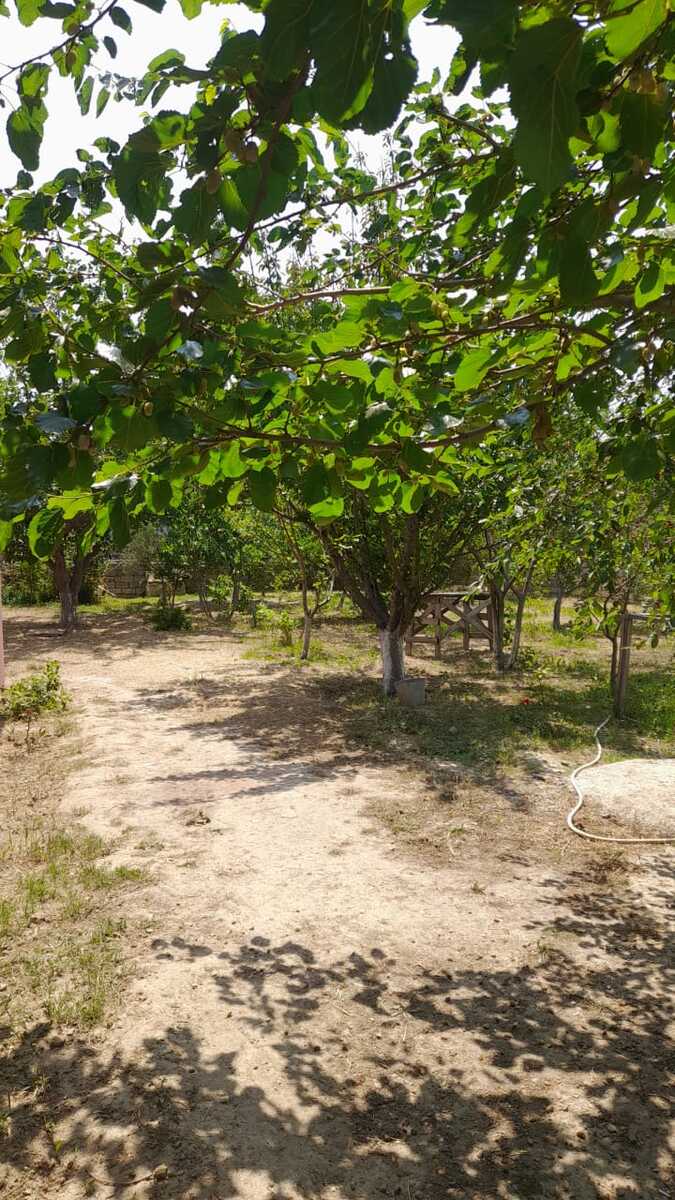 Satılır 4 otaqlı həyət evi/bağ evi 180 m² — Ev, villa, Bakı (10)