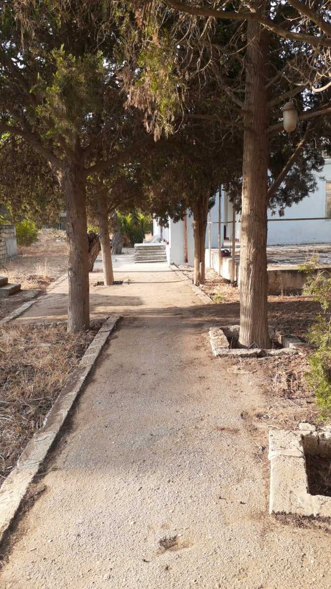 İcarəyə verilir 3 otaqlı həyət evi/bağ evi 42 m² — Ev, villa, Bakı (5)