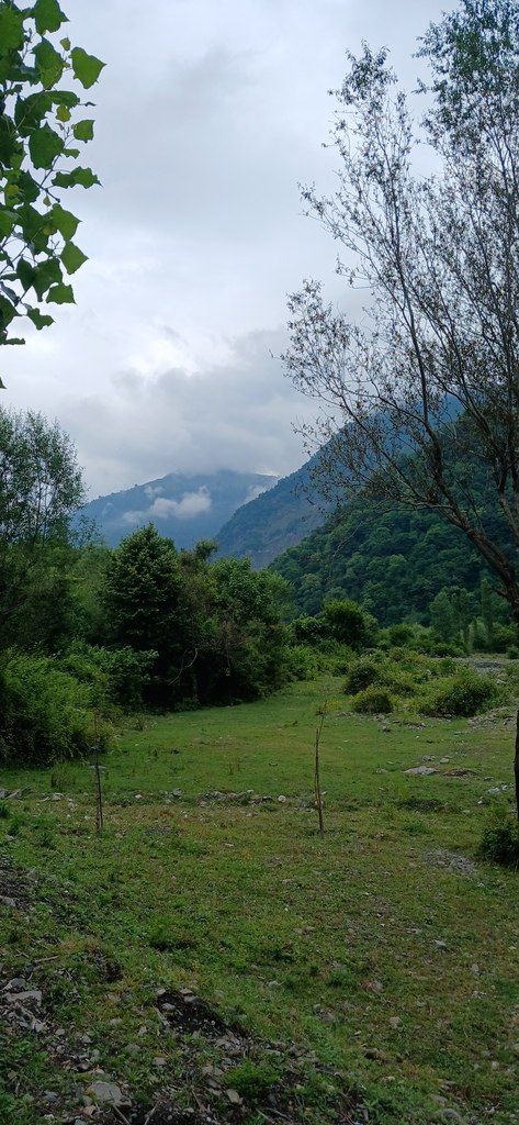 İcarəyə verilir 4 otaqlı həyət evi/bağ evi 150 m² — Ev, villa, Qax (4)