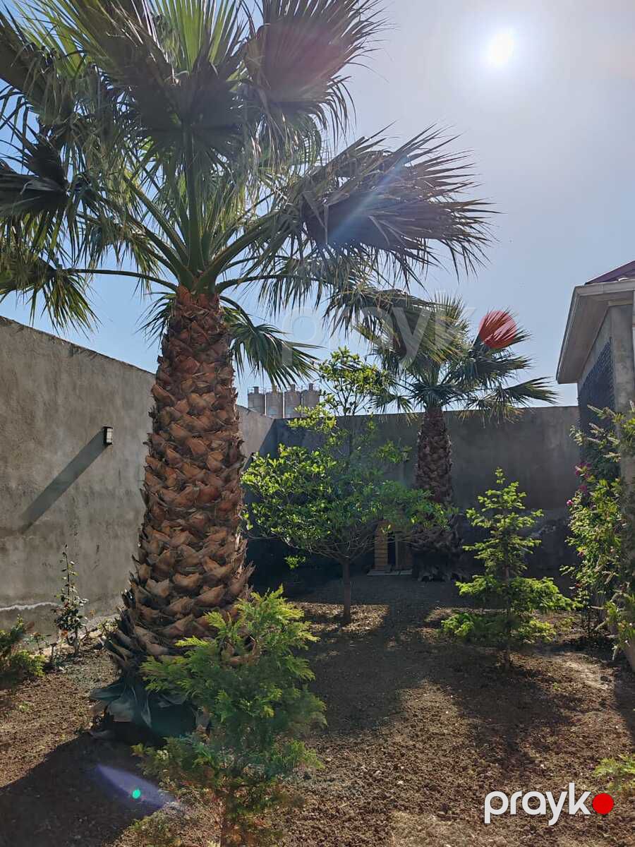 Satılır 15 otaqlı həyət evi/bağ evi 550 m² — Ev, villa, Bakı (12)