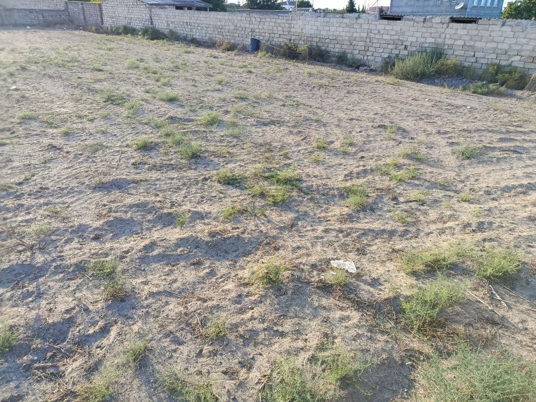 Satılır torpaq 12 sot — Torpaq, Bakı (4)