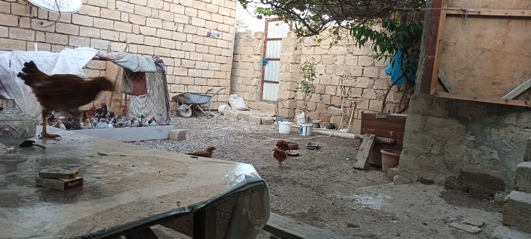 Satılır 1 otaqlı həyət evi/bağ evi 32 m² — Ev, villa, Bakı (10)