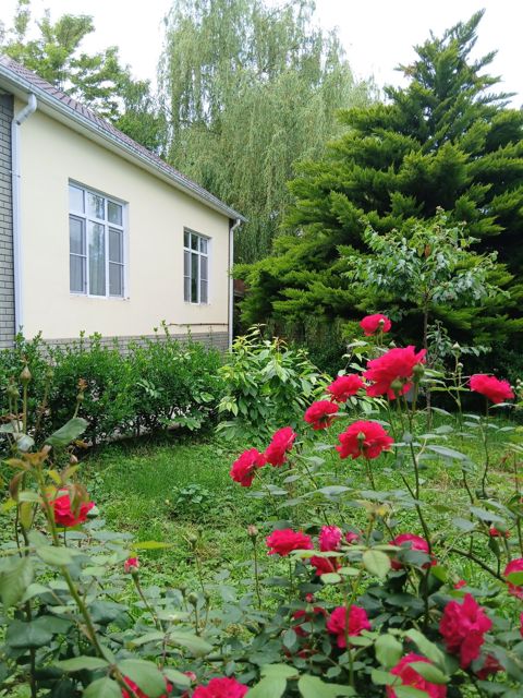 İcarəyə verilir 4 otaqlı həyət evi/bağ evi 90 m² — Quba