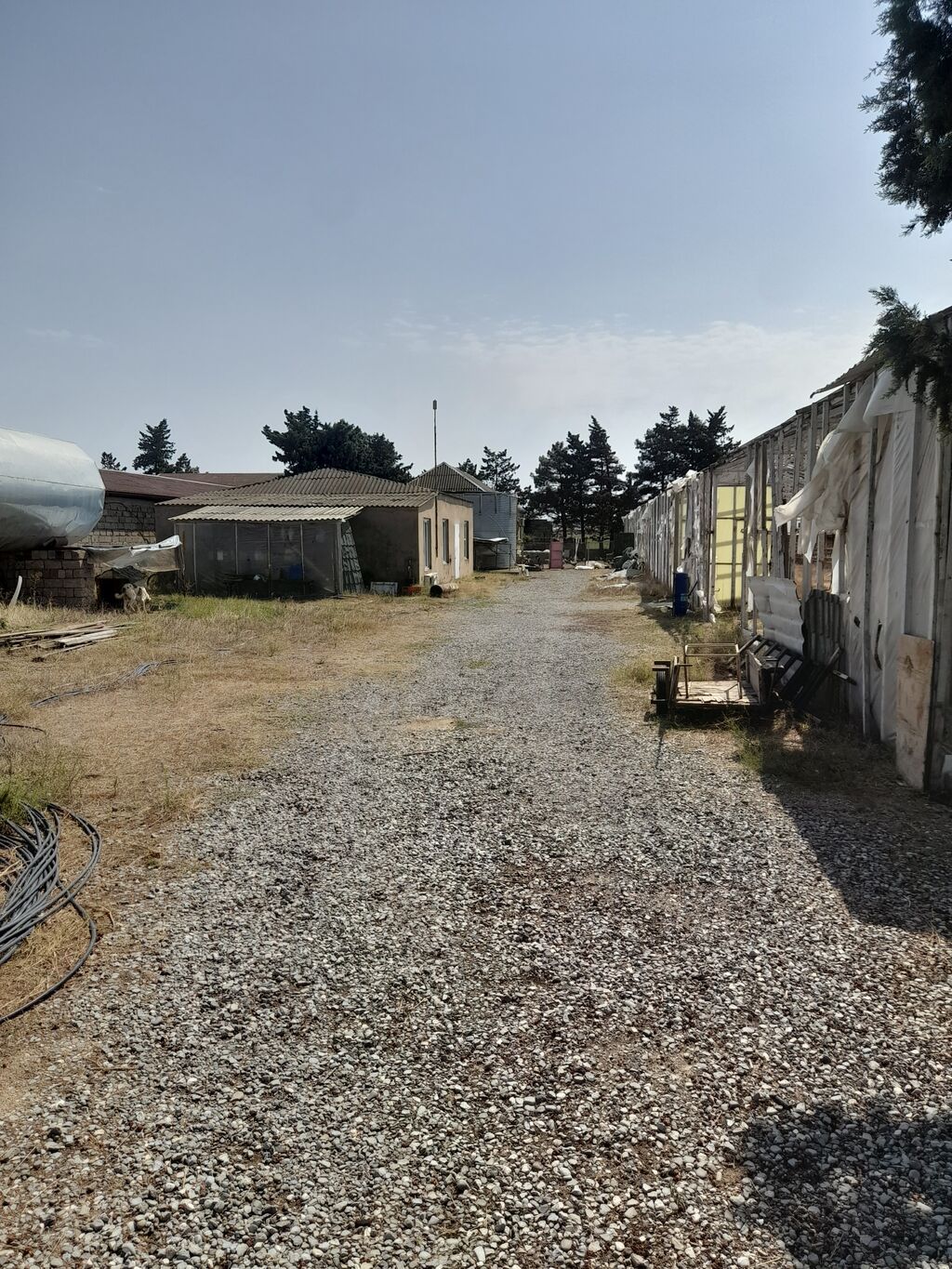 135 sot, Biznes üçün, Kupça (Çıxarış) — Torpaq, Digah (6)