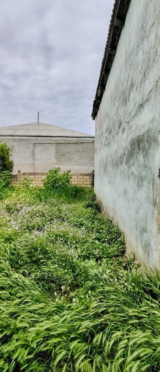 Həyət evi, Şabran r — Ev, villa, Şabran (3)
