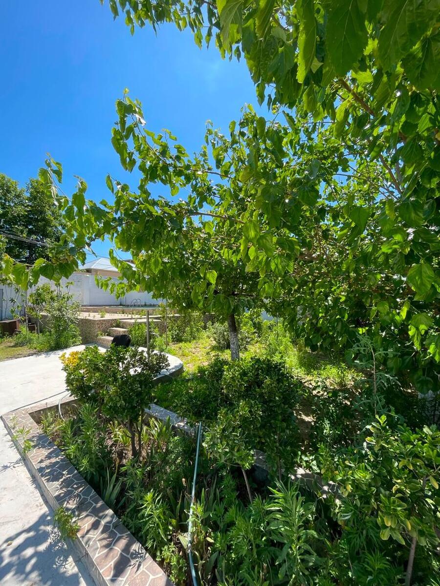 Satılır 5 otaqlı həyət evi/bağ evi 190 m² — Ev, villa, Bakı (5)
