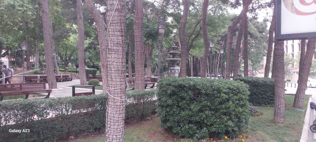 İcarəyə verilir 3 otaqlı yeni tikili 170 m² — Mənzil, Bakı (2)